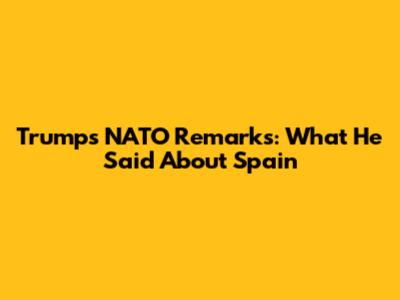 Trump's NATO Remarks: What He Said About Spain