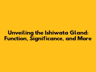Unveiling the Ishiwata Gland: Function, Significance, and More