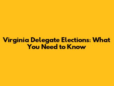 Virginia Delegate Elections: What You Need to Know