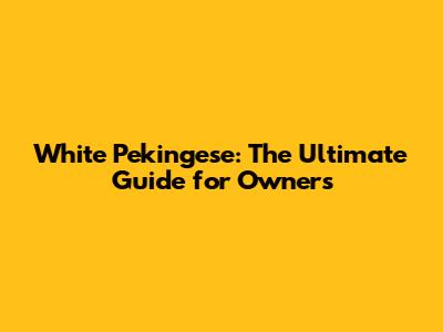 White Pekingese: The Ultimate Guide for Owners