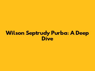 Wilson Septrudy Purba: A Deep Dive