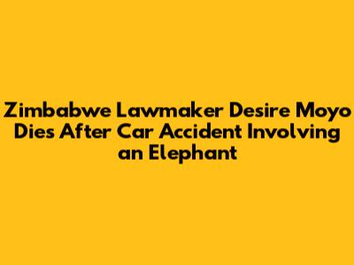 Zimbabwe Lawmaker Desire Moyo Dies After Car Accident Involving an Elephant