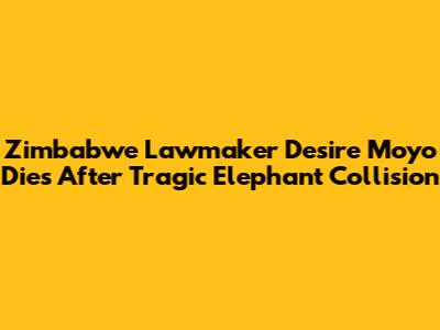 Zimbabwe Lawmaker Desire Moyo Dies After Tragic Elephant Collision